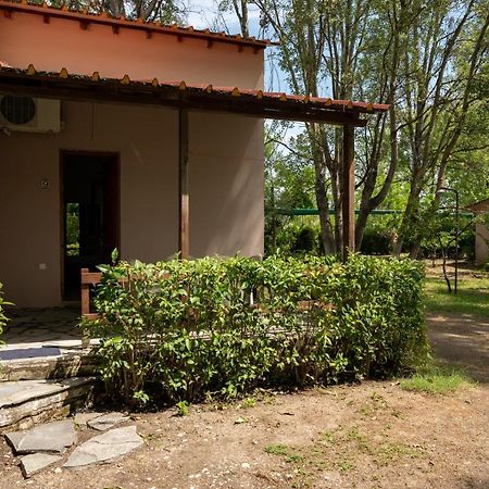 Hotel Camping Pefki Zewnętrze zdjęcie